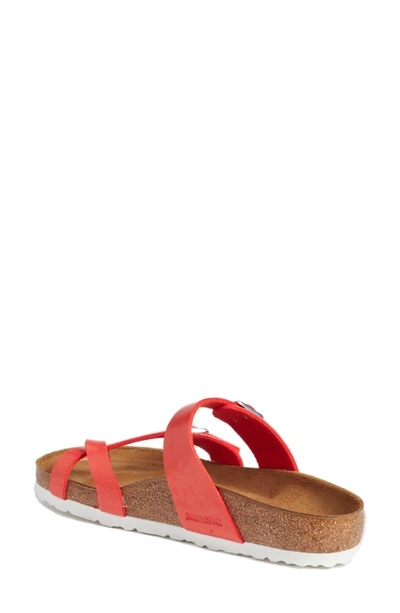 Shop Birkenstock 'mayari' Birko-flor(tm) Sandal In Graceful Hibiscus Leather