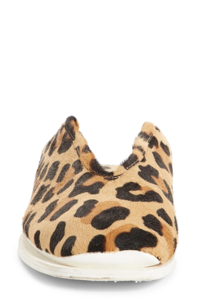 Shop Proenza Schouler Pswl Genuine Calf Hair Convertible Loafer In Leopard Print