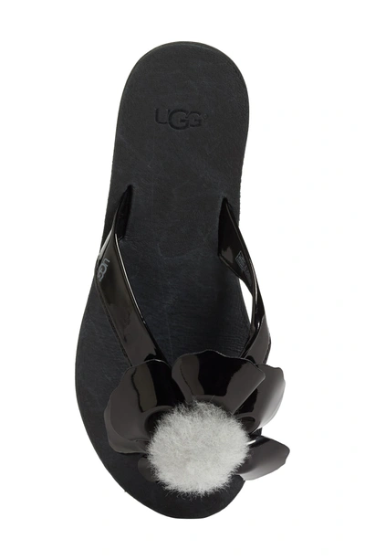 Shop Ugg Poppy Genuine Shearling Pompom Flip Flop In Black