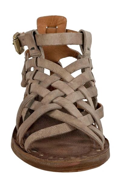 Shop As98 Ralston Gladiator Sandal In Taupe