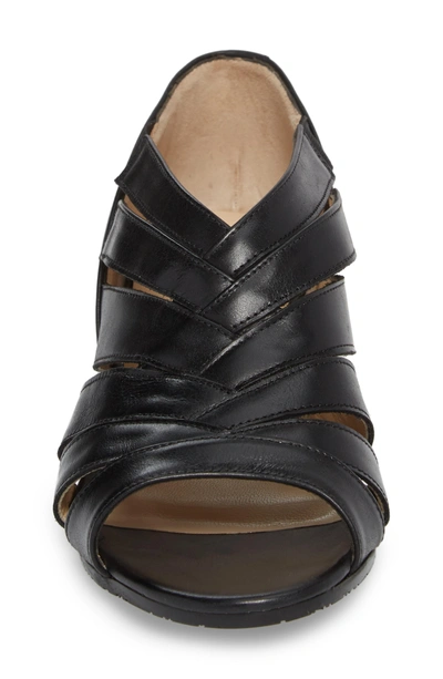 Shop Amalfi By Rangoni Demetra Sandal In Black Leather