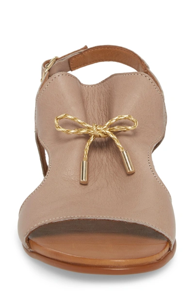 Shop Sheridan Mia Tai Sandal In Taupe Leather