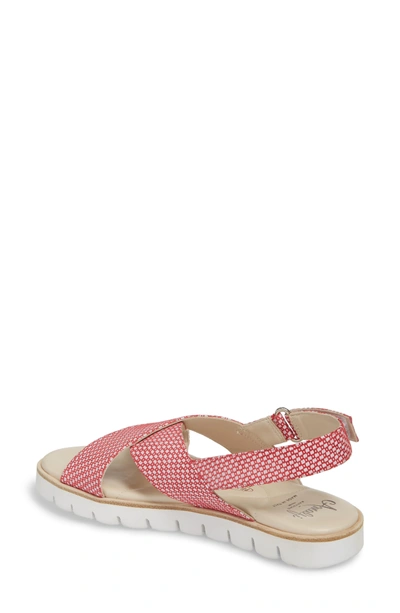 Shop Amalfi By Rangoni Borgo Sandal In Red/ White Leather
