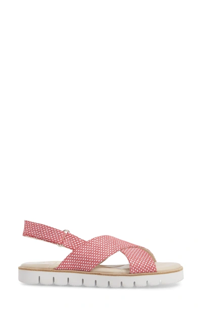 Shop Amalfi By Rangoni Borgo Sandal In Red/ White Leather