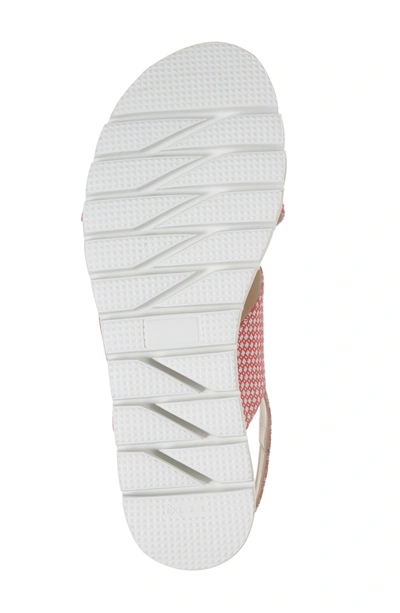 Shop Amalfi By Rangoni Borgo Sandal In Red/ White Leather
