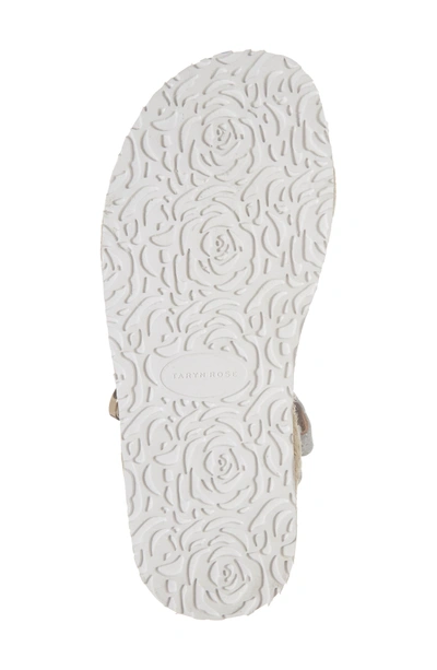 Shop Taryn Rose Lydia Platform Sport Sandal In Silver Leather