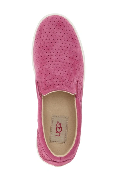 Shop Ugg 'fierce Geo' Perforated Slip-on Sneaker In Furious Fuchsia Suede