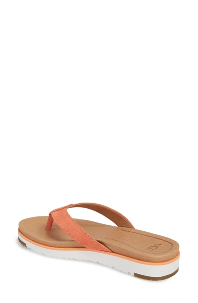 Shop Ugg Lorrie Flip Flop In Fusion Coral Suede