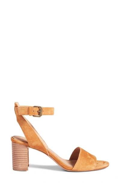 Shop Madewell The Claudia Sandal In Amber Brown Suede