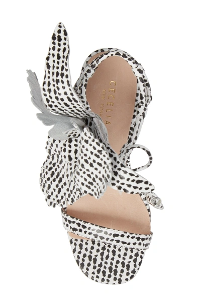 Shop Cecelia New York Hibiscus Sandal In Black/ White Leather