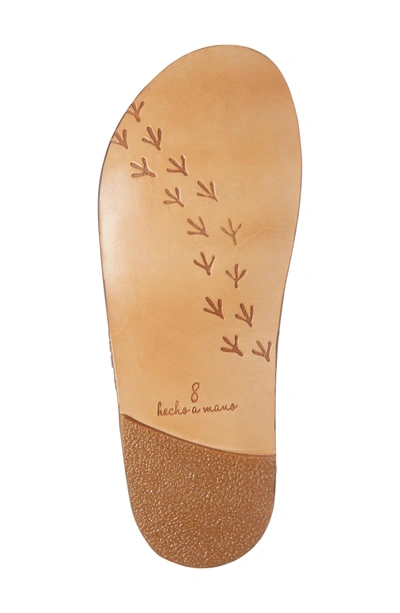 Shop Beek Cockatiel Woven Slide Sandal In Brown/ Brown