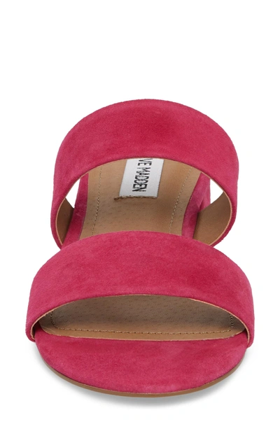 Shop Steve Madden Cactus Sandal In Fuchsia Suede