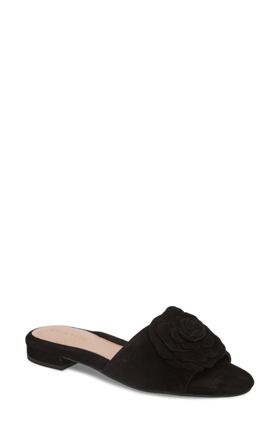 Shop Taryn Rose Violet Flower Slide Sandal In Black Suede