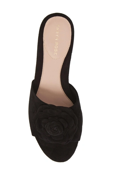 Shop Taryn Rose Violet Flower Slide Sandal In Black Suede