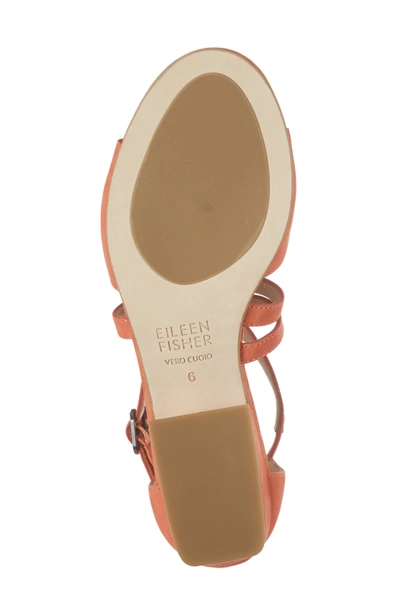 Eileen fisher kyra sandal store