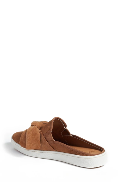 Shop Ugg Luci Bow Sneaker Mule In Chestnut Suede