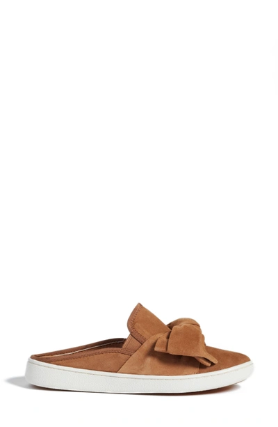 Shop Ugg Luci Bow Sneaker Mule In Chestnut Suede