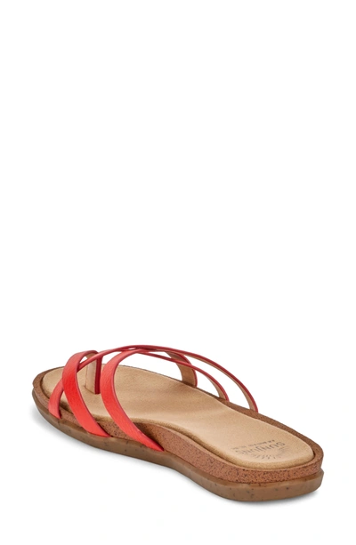 Shop G.h. Bass & Co. Sharon Sandal In Roma Red Leather