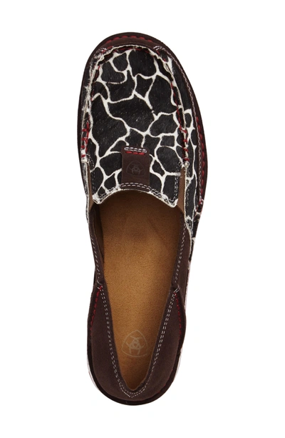 ariat chocolate chip cruiser