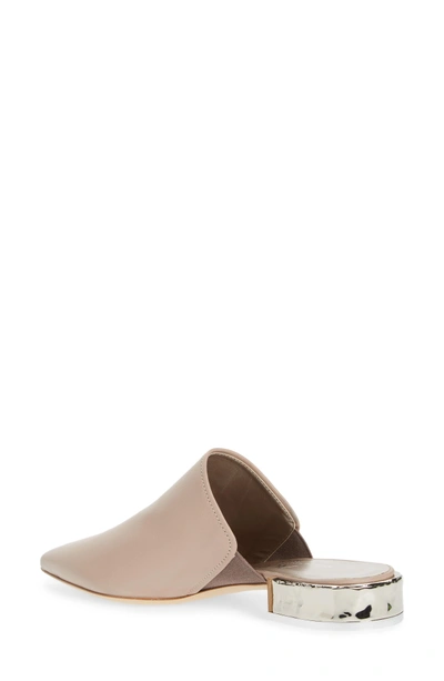 Shop Agl Attilio Giusti Leombruni Pointed Toe Mule In Marble Leather