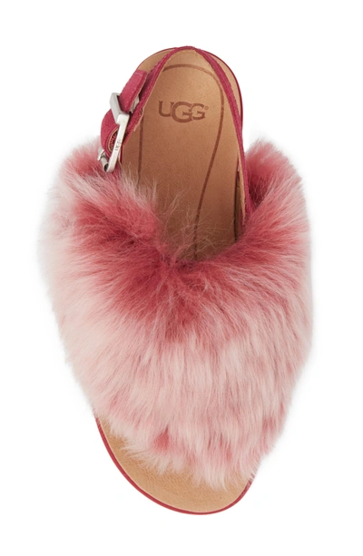 Shop Ugg Holly Genuine Shearling Sandal In Cerise
