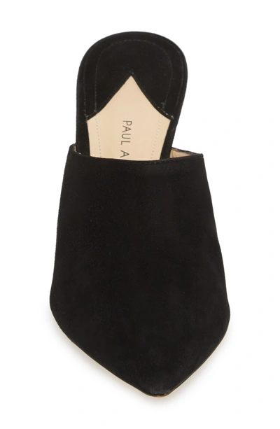 Shop Paul Andrew Certosa Mule In Black