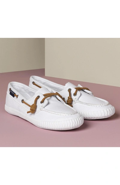 Shop Sperry 'sayel Away' Sneaker In White