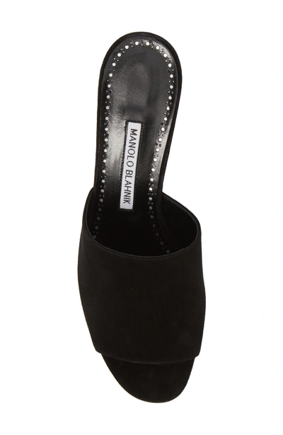 Shop Manolo Blahnik Rapallato Slide Sandal In Black Suede