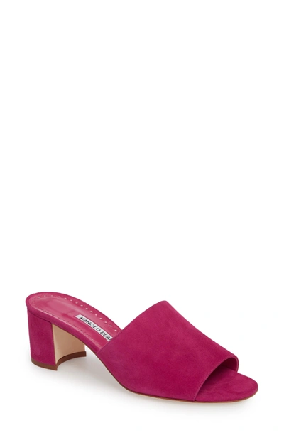 Shop Manolo Blahnik Rapallato Slide Sandal In Fuchsia Suede