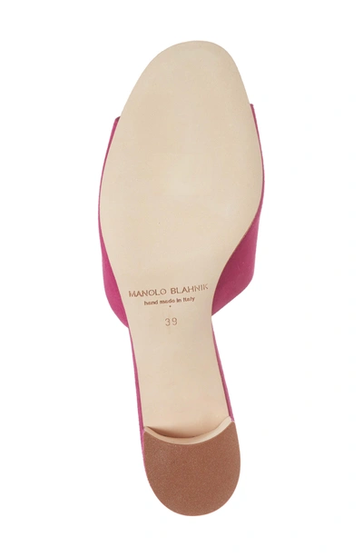 Shop Manolo Blahnik Rapallato Slide Sandal In Fuchsia Suede