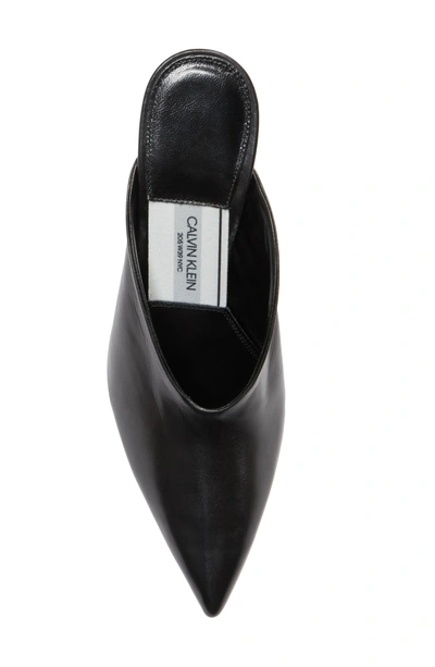 Shop Calvin Klein 205w39nyc Roslynn Pointy Toe Mule In Black
