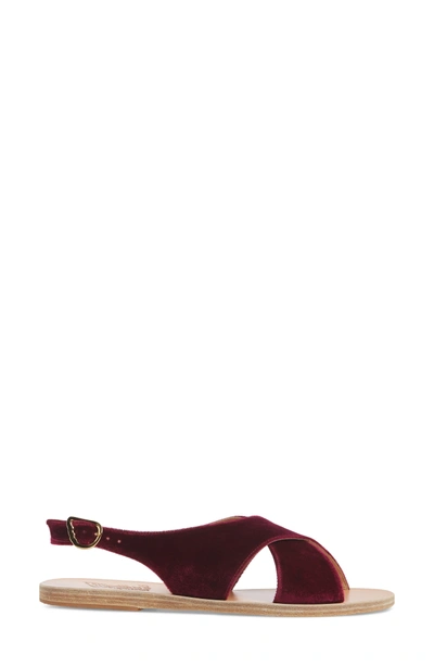 Shop Ancient Greek Sandals Maria Sandal In Burgundy Velvet