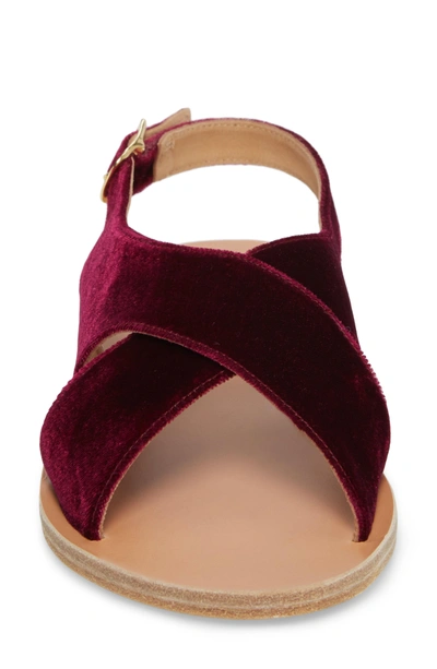 Shop Ancient Greek Sandals Maria Sandal In Burgundy Velvet