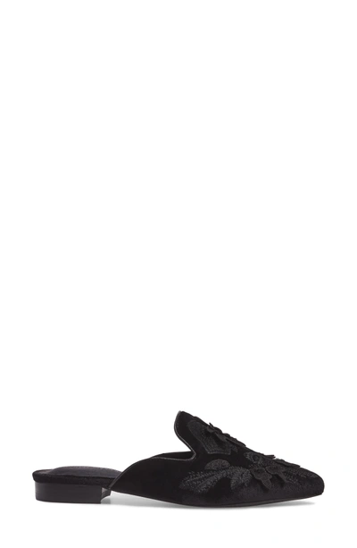 Shop Jeffrey Campbell Claes Applique Loafer Mule In Black Velvet Combo