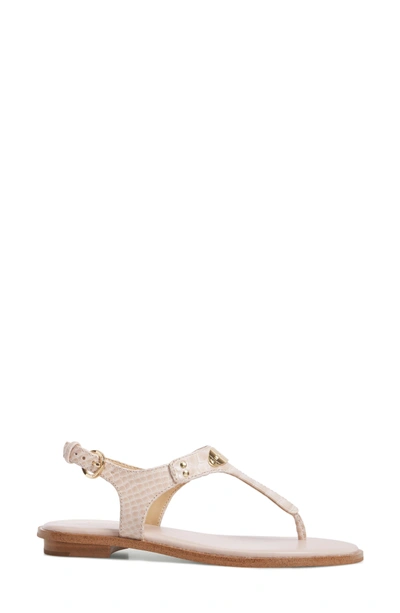 Shop Michael Michael Kors 'plate' Thong Sandal In Soft Pink Snake Print