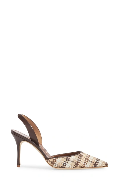 Shop Manolo Blahnik Carolyne Slingback Pump In Brown/ White