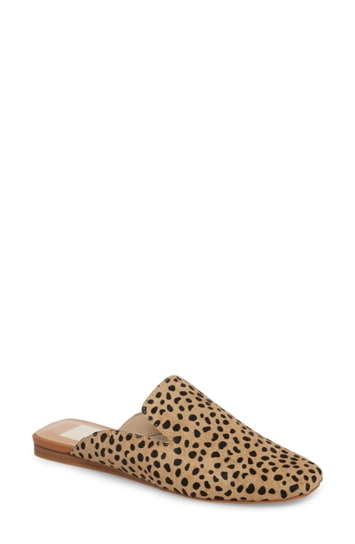 Shop Dolce Vita Brie Flat Mule In Leopard Calf Hair