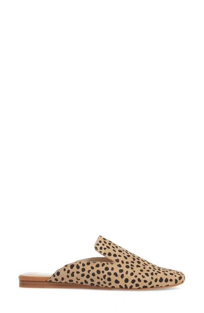 Shop Dolce Vita Brie Flat Mule In Leopard Calf Hair