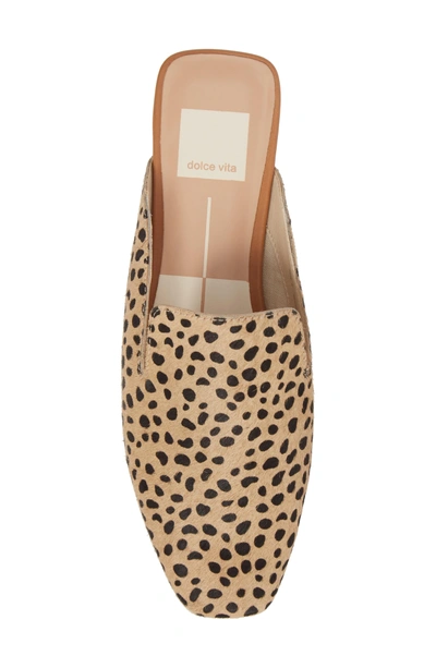 Shop Dolce Vita Brie Flat Mule In Leopard Calf Hair