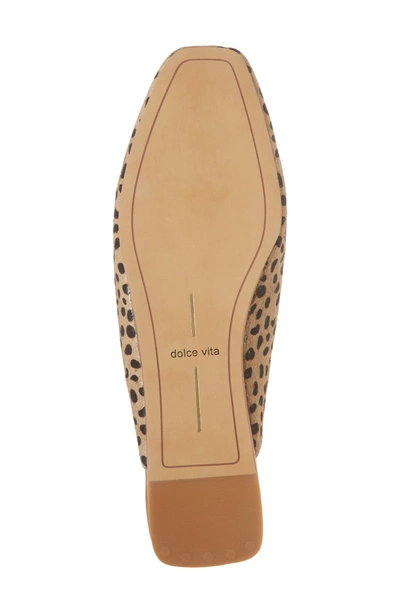 Shop Dolce Vita Brie Flat Mule In Leopard Calf Hair