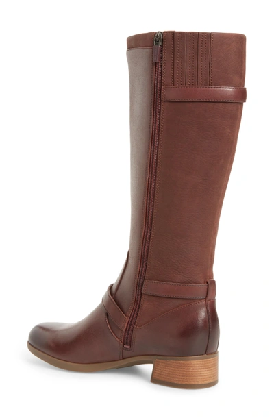 Shop Dansko Lorna Tall Boot In Wine Burnished Nappa Leather