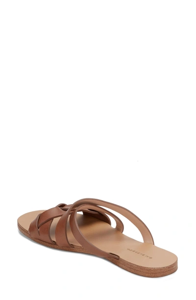 Shop G.h. Bass & Co. Scarlett Slide Sandal In Luggage Leather