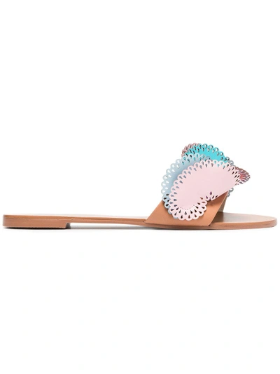 Shop Sophia Webster Multicoloured Soleil 10 Cutout Ruffle Leather Slides In Pink