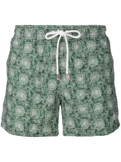 Shop Borrelli All-over Print Swim Shorts
