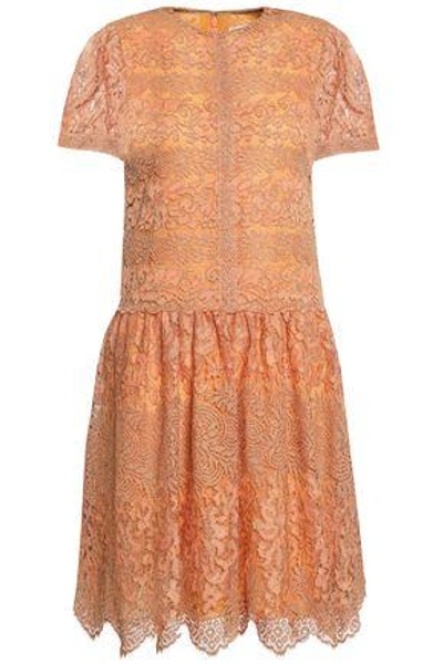 Shop Valentino Metallic Cotton-blend Corded Lace Mini Dress In Orange