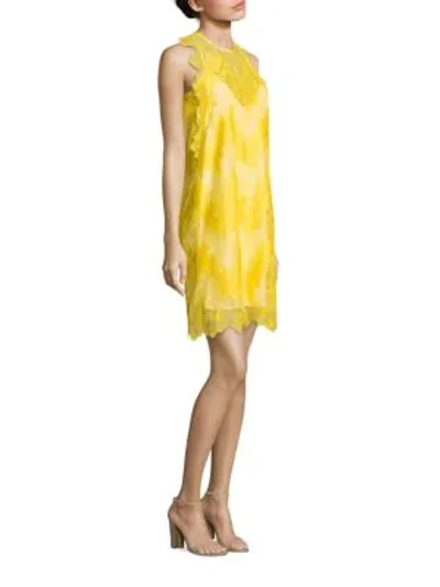 Shop Carven Lace Shift Dress In Yellow