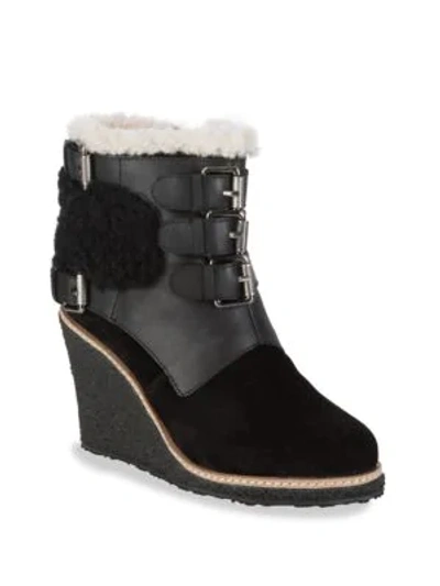 Shop Australia Luxe Collective Monk Strap Shearling Wedge Boots In Black
