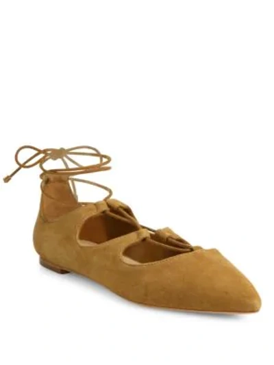 Shop Loeffler Randall Ambra Point Toe Suede Lace-up Flats In Sienna