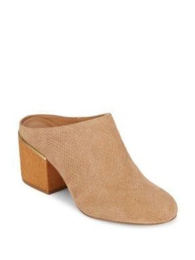 Shop Calvin Klein Judia Leather Clogs In Cocoon