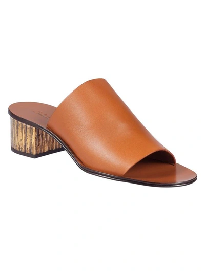 Shop Chloé Chlo Camille Mules In Ochre Delight
